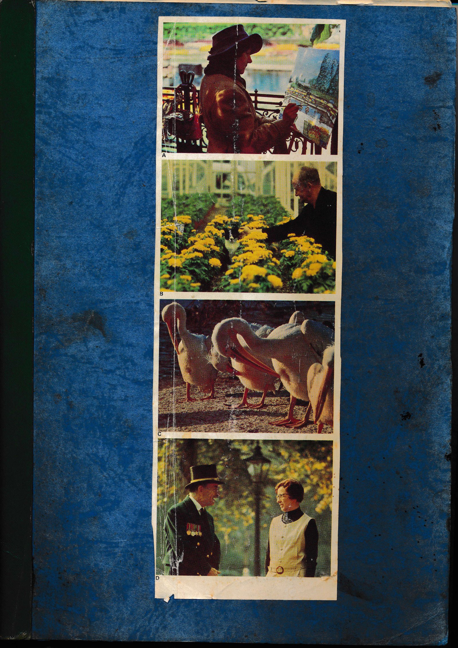 Blue scrapbook cover with a vertical strip of four vintage photographs pasted on: a woman browsing art, a man tending chrysanthemums, pelicans in formation, and a uniformed man in conversation
